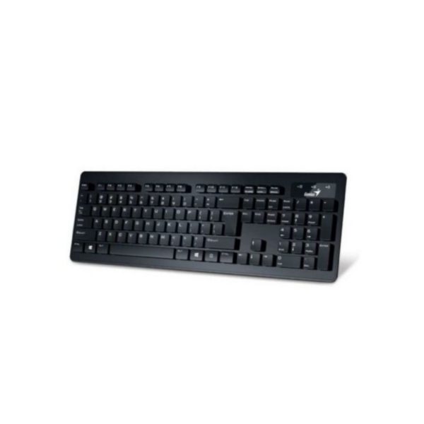 Teclado Genius Slimstar 230 Alámbrico Negro